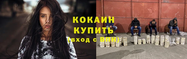 индика Абаза