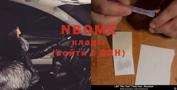 индика Протвино