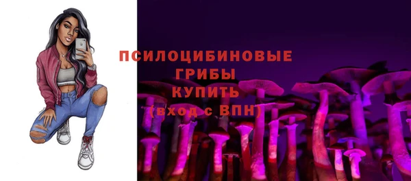 2c-b Алзамай