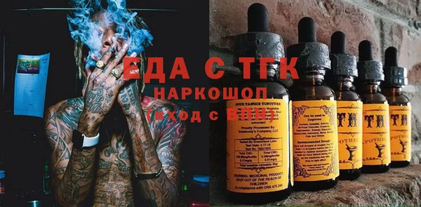 индика Протвино
