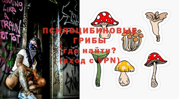 индика Абаза