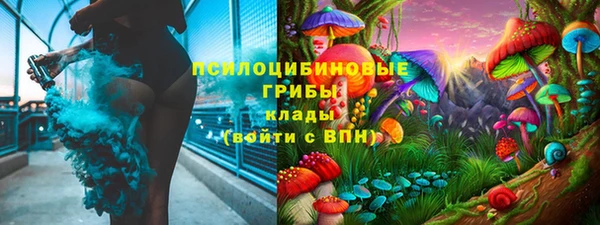 2c-b Алзамай