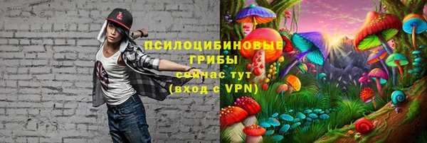 ECSTASY Абдулино