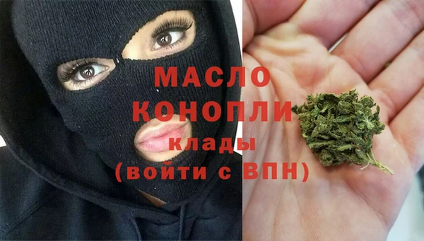 индика Абаза