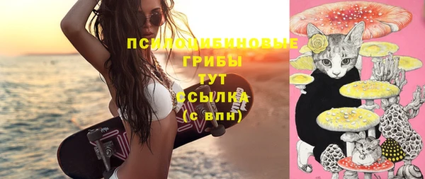 стафф Алексеевка
