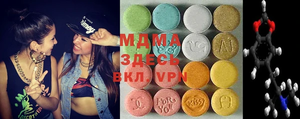 индика Абаза
